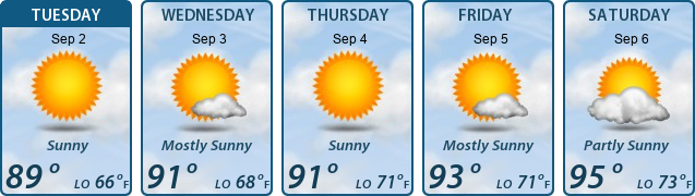 5-Day Forecast