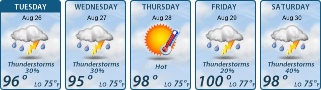 5-Day Forecast